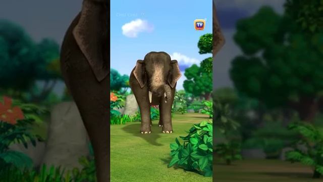 Endangered Animals Part-1 #animalshorts #kidsshorts #kidslearning #elephant #animals #kidsfun #funny