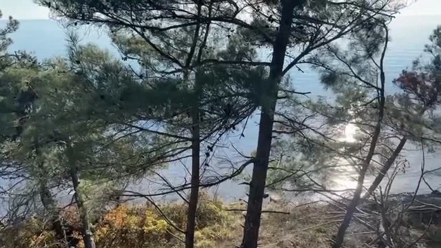 Южный Юг,Геленджик Голубая Бездна🌞🌊 вот такой январь и погода +