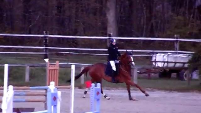[20120422] Manon & Praline - Amateur 1 Grand Prix (1,15 m) - Saint-Aubin sur Gaillon