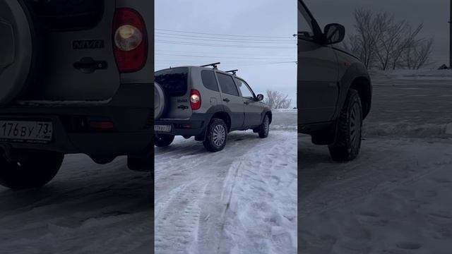 Chevrolet Niva_2010