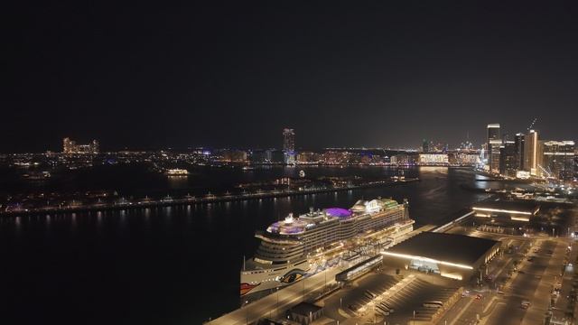 DJI_20250103213143_0187_D