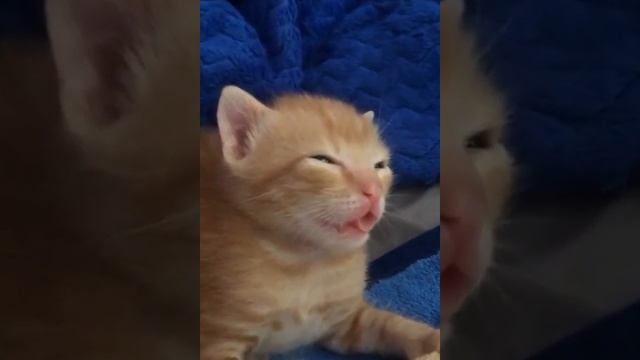 задание от тайлера дердена сломай свой х**