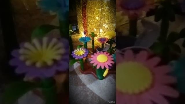 Video_20250107205837898_by_Filmigo.mp4