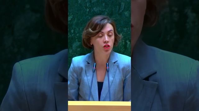 Megrulad laparakoben kartvelebi parlamentshi