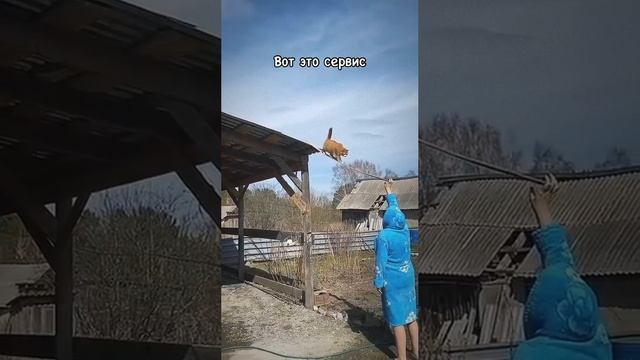1000070664.mp4