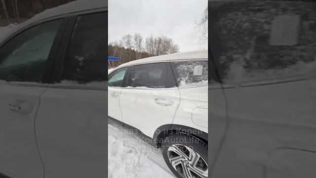 Привозим авто из Кореи, США, Германии, Китая. Вы знаете, где нас найти.