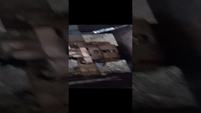 1000056839.mp4