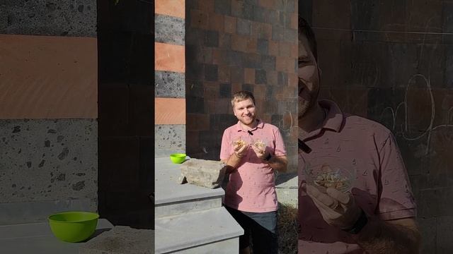 ЕДИНСТВЕННЫЙ фрукт со СЪЕДОБНОЙ косточкой