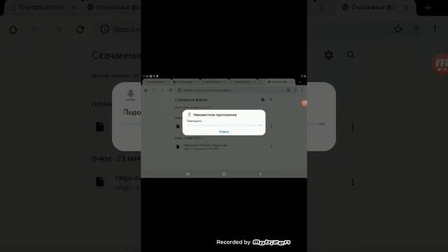 мотя тока