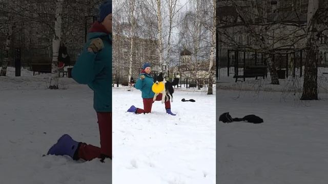 БК Дели - вольт от колена, выброс