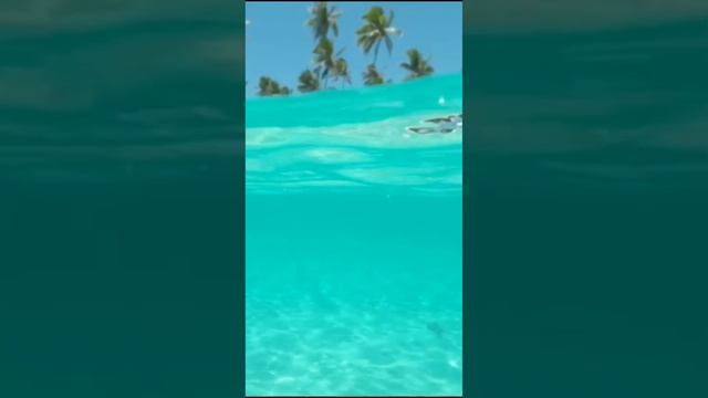 Практика сталкинг Внимания