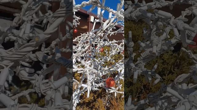 Кисловодск зимний