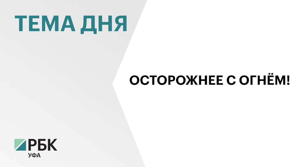 102 пожара произошло в Башкортостане с начала 2025 г.