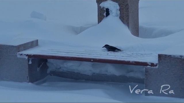 На набережной Тарко Сале