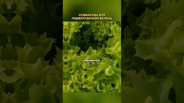 Эти продукты разрушат вашу поджелудочную железу