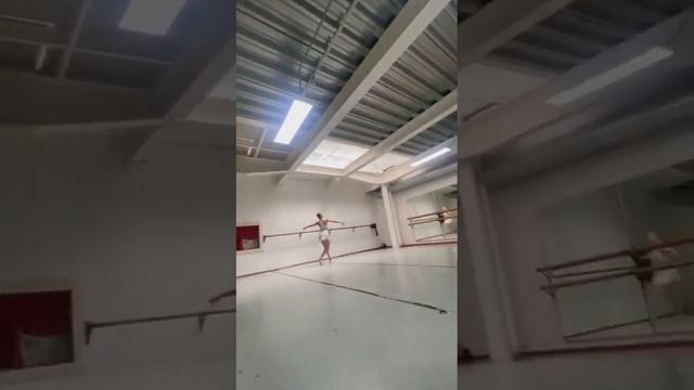 Video Ballet