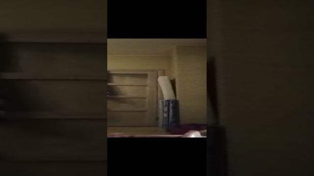 1000023334.mp4