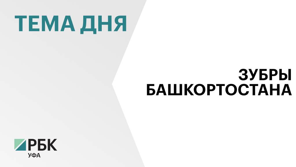 В Башкортостане за два года родилось 5 зубров