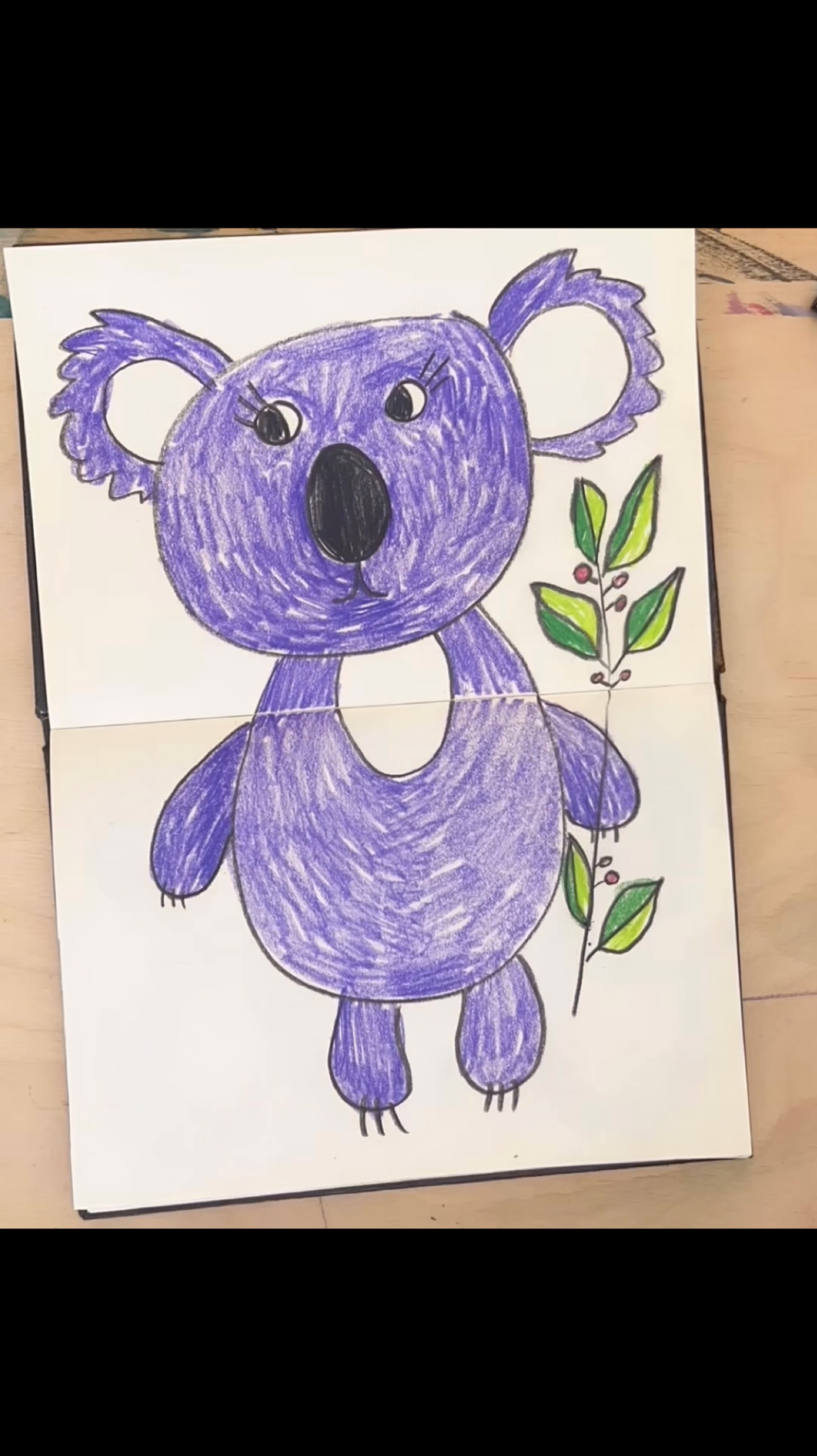 коала цветными карандашами