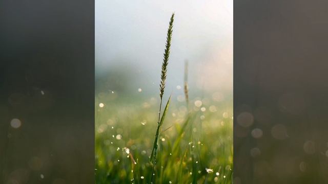 Ты много жил, я больше пел, Александр Блок
