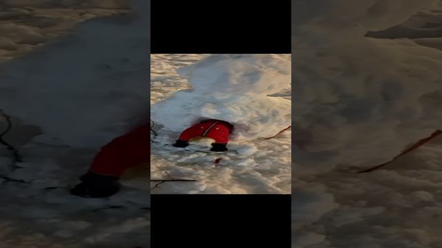 Рокси и снеговик