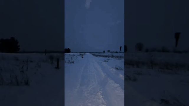 scene_output.mp4