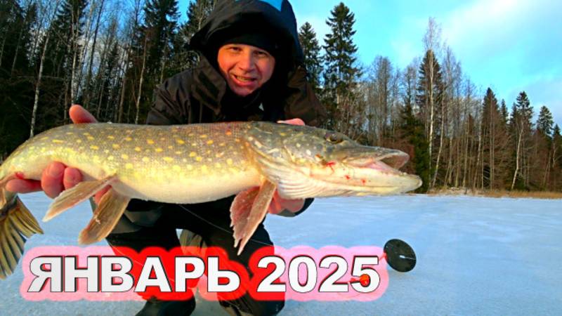 НАШЁЛ В ЛЕСУ ОЗЕРО С ГОЛОДНОЙ РЫБОЙ И ОБАЛДЕЛ! Рыбалка в январе 2025 на жерлицы и мормышку