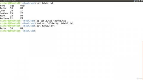 8. -i option Changing files for sure