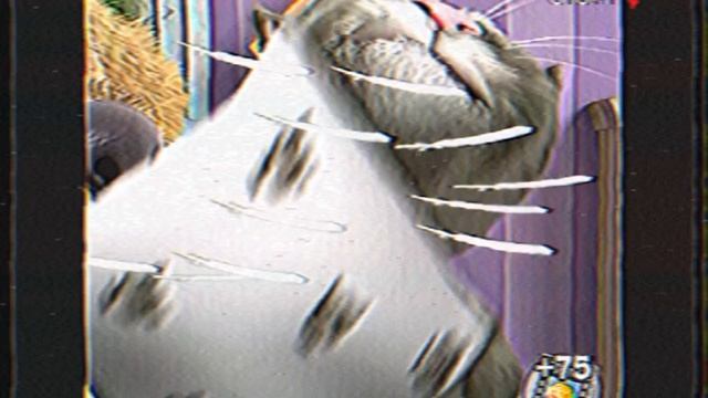 Проффесиональный бокс 1 выпуск + заставка (Спорт, 2004) VHS