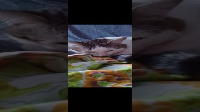 1000010896.mp4