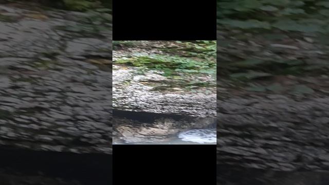 Счастье живет рядом с нами