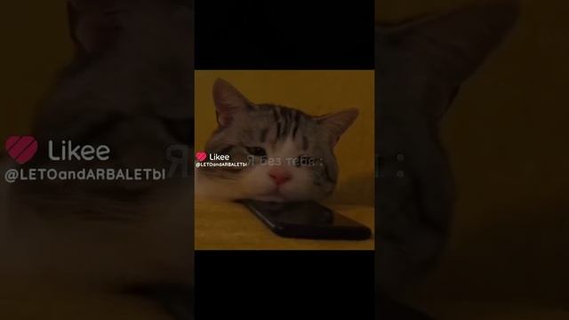 Когда без друзей и с ними