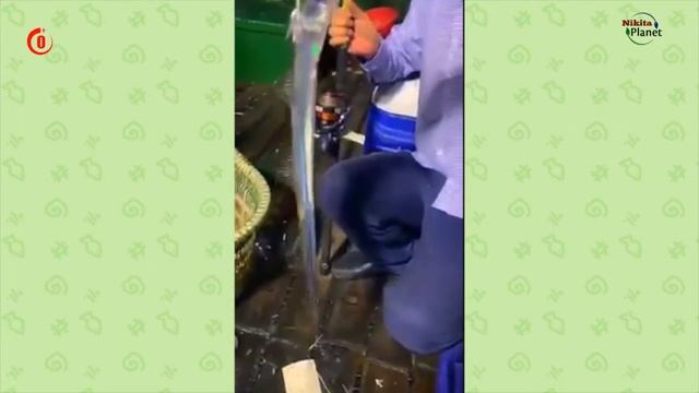 Рыба сабля . Saber fish