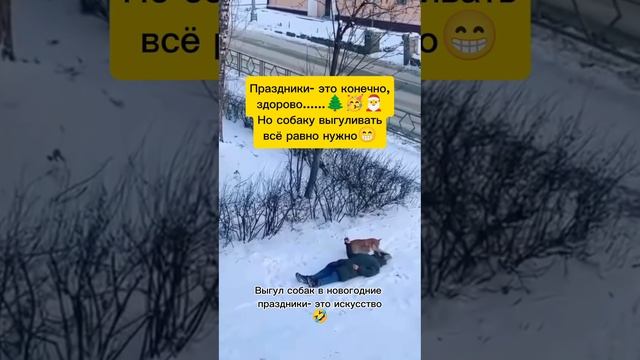 ВЫГУЛЯЛ КАК СМОГ,,,