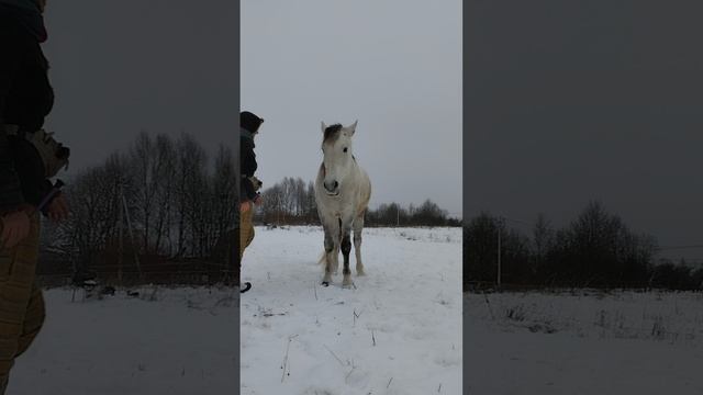 когда хотел снять сториз, но телефон упал в снег!