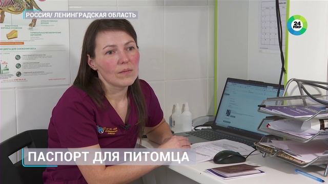 Всех собак в Ленинградской области зарегистрируют