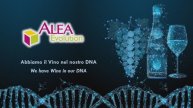 Alea Evolution We have Wine in our DNA