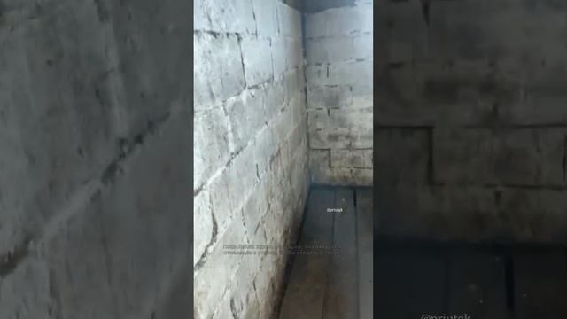 Мужчина спасает сбитую лайку на конюшне. Поможем оплатить операцию на сумму 15.000₽.