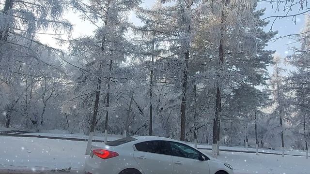 На руках снежинки
