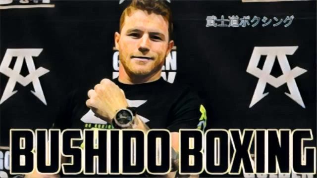 Canelo Alvarez Puts Sergey Kovalev To Sleep In The 11th!! After Putting Fans To Sleep !!