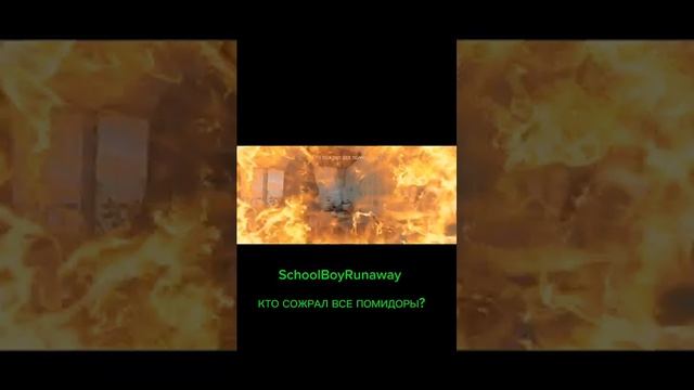 КТО СОЖРАЛ ВСЕ ПОМИДОРЫ_👺 #shorts #schoolboyrunaway (360p)