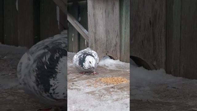 главное, мотивация