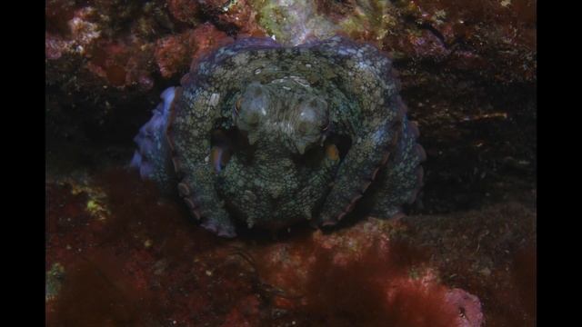 Foto El Hierro Mai 2022