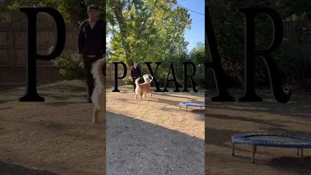 Переснятая заставка студии Pixar