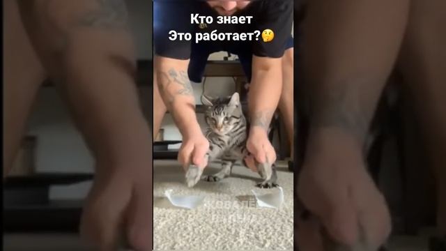 И это работает? 🙀🤪🤣 #shorts #funny #валера