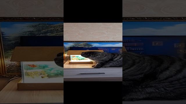 Рыбка Петух и кот Оскар