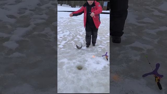 КРХ ТРИФОН