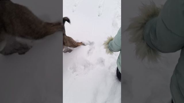 баловство