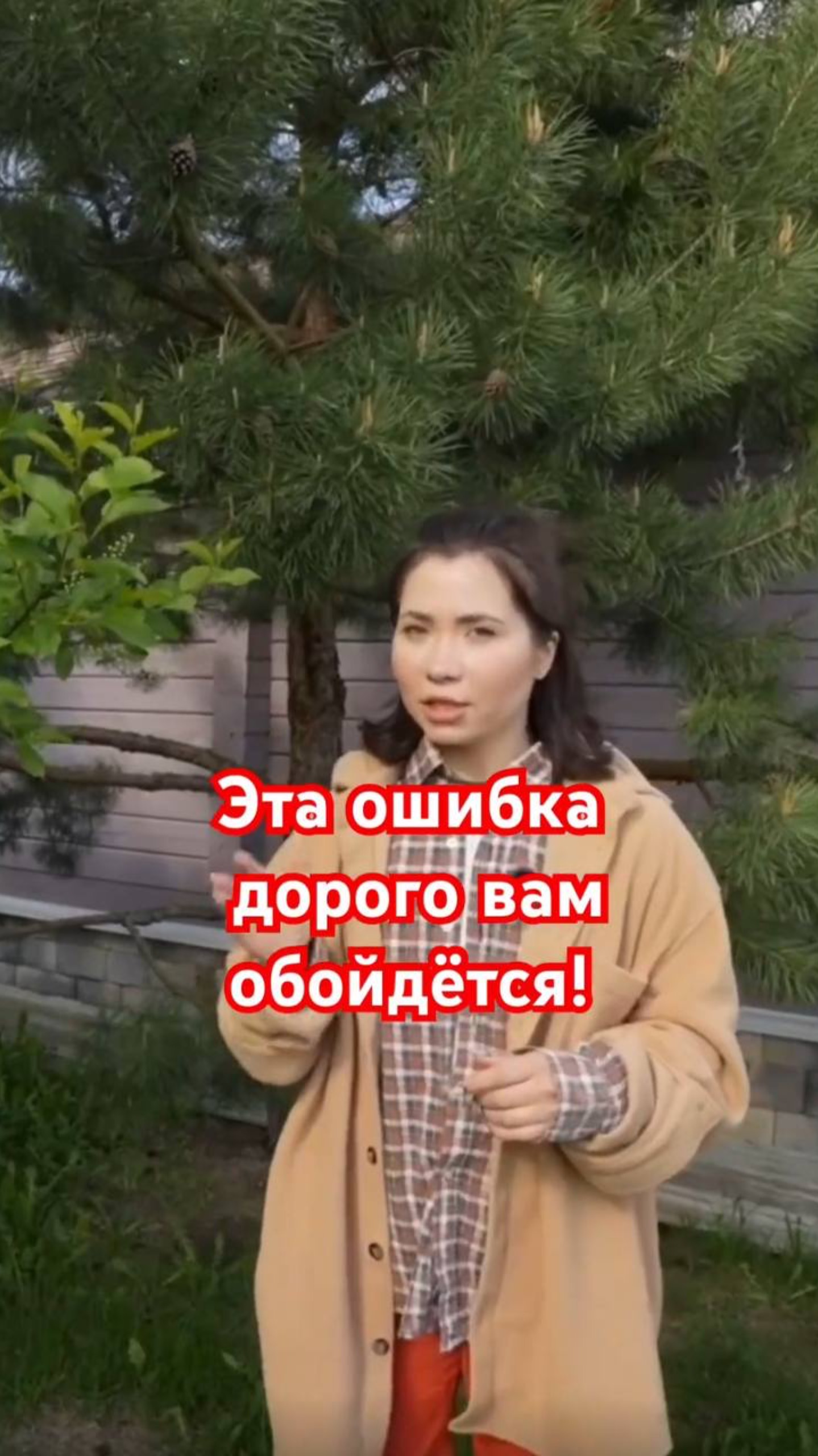 Как помочь хвойным пережить зимнее солнце
