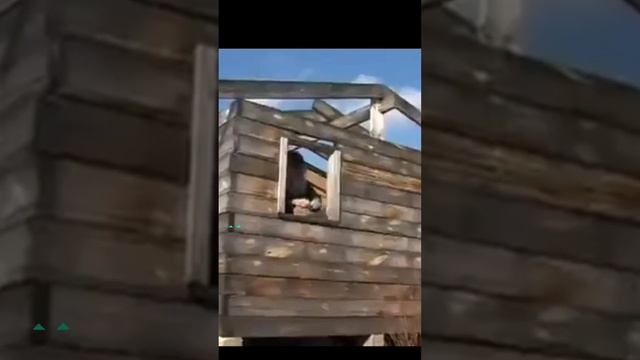 видео с моего канала ЯППИ 25.08.2024 yappy_download_2aa04282e76147a98f0441943771c522